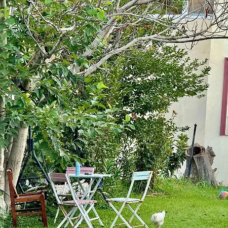 Guest house Rose Patara