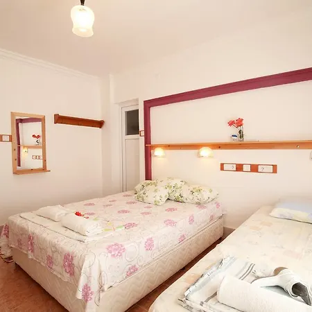 Rose Guest house 3*