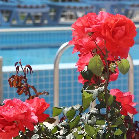 Rose Guest house 3*